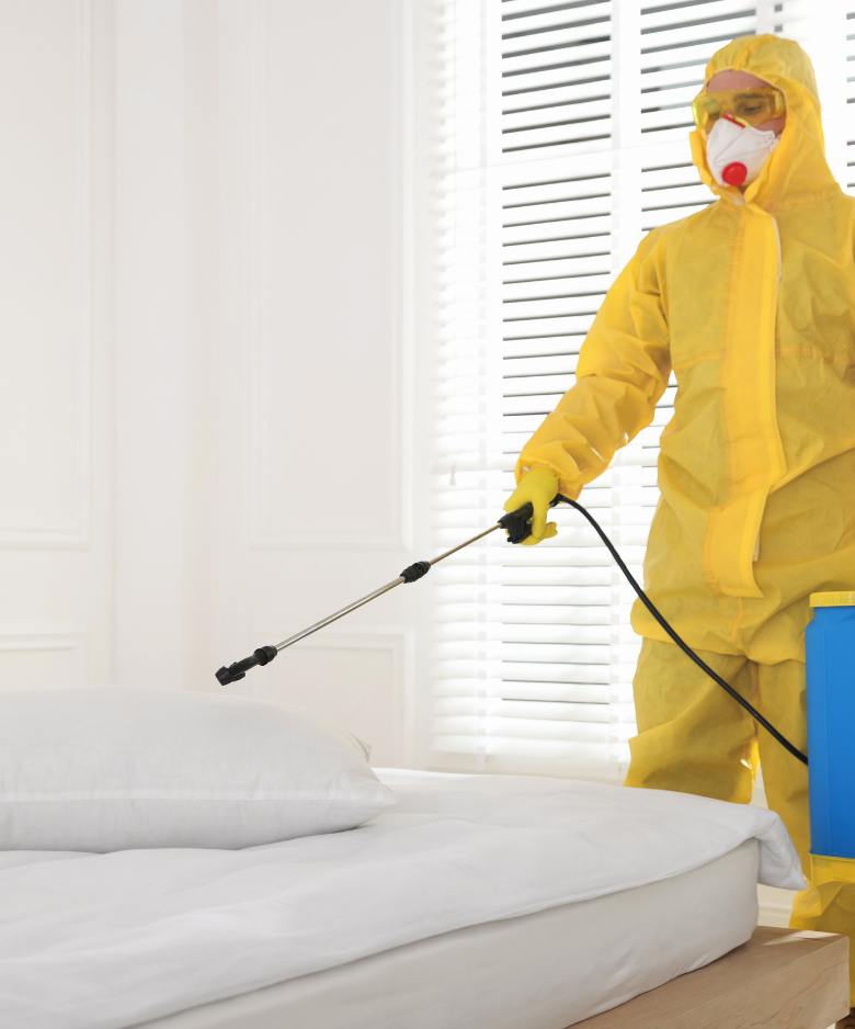 Professional Pest Control Team in Firle